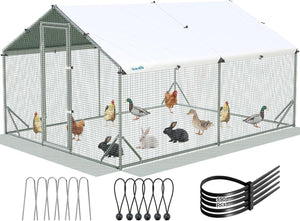 Pet Supplies