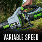 EGO Power+ 56-Volt 765 CFM Brushless Cordless Leaf Blower With 5.0Ah And 2.5Ah Batteries - LB7654