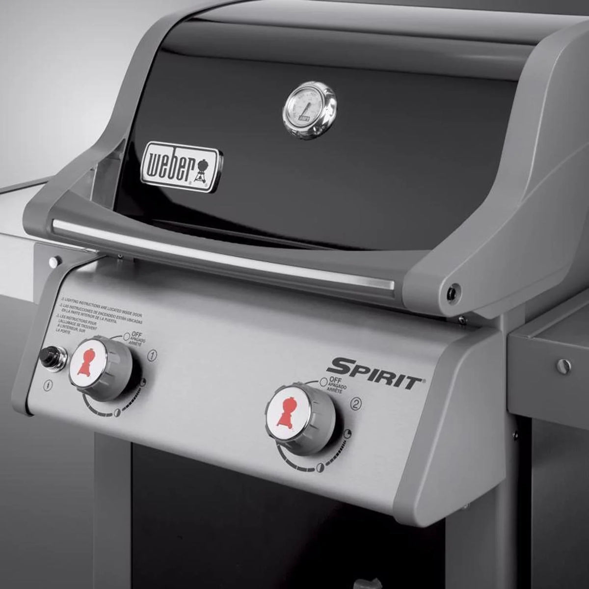 Weber 2 Burner Liquid Propane Grill, Black - Spirit E-210