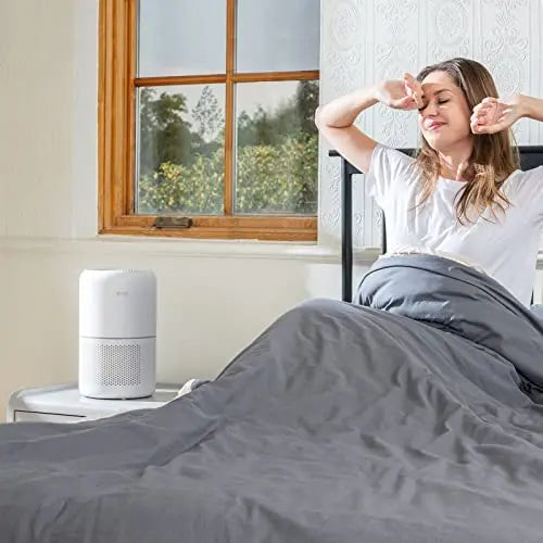 LEVOIT Air Purifier, Covers Up To 1095 Sq.Ft - Core 300
