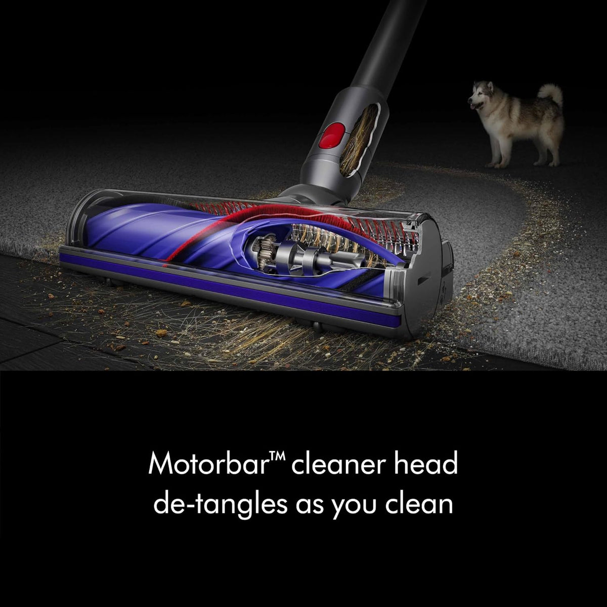Dyson Cordless Stick Vacuum Cleaner, 0.14 Gallons, Silver/Nickel - V8 SV25