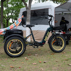 DWMEIGI Silverado 20 inch 48V/14Ah 750W Folding Electric Tricycle With Wide Tires, 150 kg - MG2301