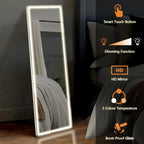 LED Full-Length Floor Mirror With Stand, 64 x 21 Inch