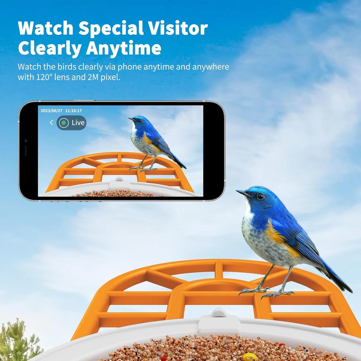 Harymor Bird Feeder Camera With AI Bird Identification, 2K Live View, Solar Panels, Orange