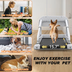 Ambifirner 2 In 1 Dog Treadmill For Small/Medium Dogs, 265 lbs Weight Capacity, Off White