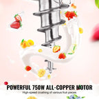 Vevor Ice Cream Blender 750W 1740 RPM 304 Stainless Steel