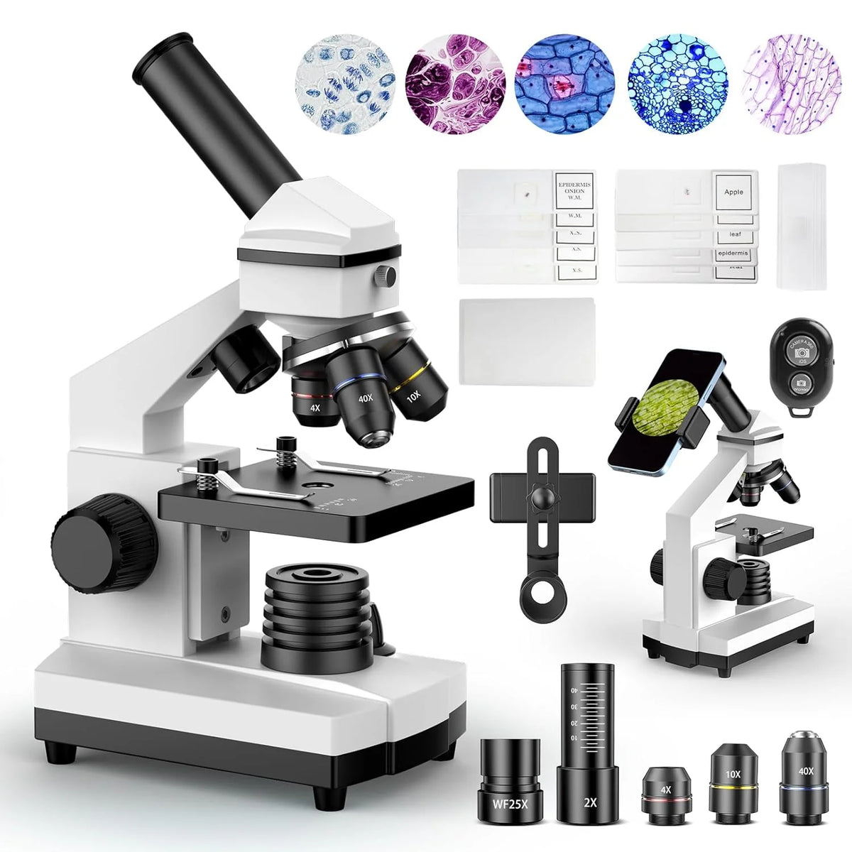 Compound Biological Microscope 100X-2000X, 52-Piece Slides Set, White