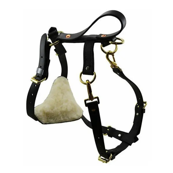 Ray Allen Biothane Multifunction Dog Harness, Waterproof, Brass Fittings, Black - Large Breeds