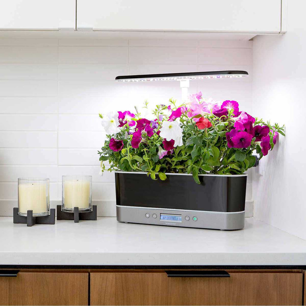 AeroGarden Bounty Elite Indoor Garden With 50W LED Grow Light - Bounty Elite