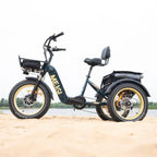 DWMEIGI Silverado 20 inch 48V/14Ah 750W Folding Electric Tricycle With Wide Tires, 150 kg - MG2301
