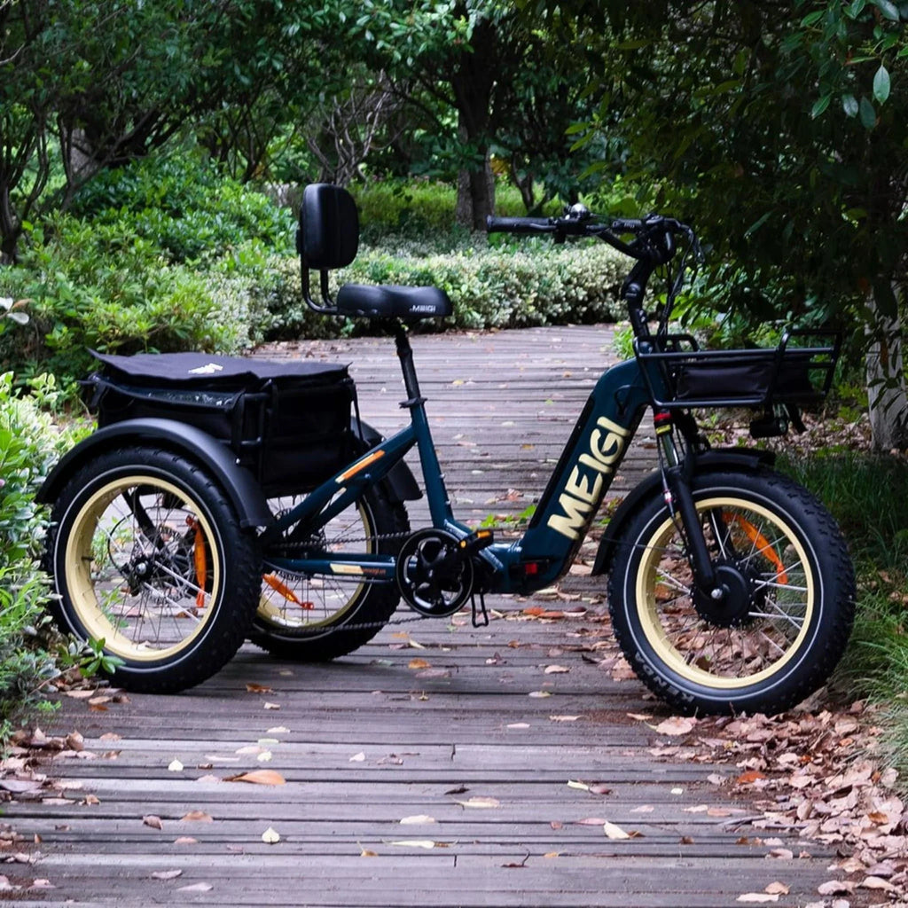 DWMEIGI Silverado 20 inch 48V/14Ah 750W Folding Electric Tricycle With Wide Tires, 150 kg - MG2301