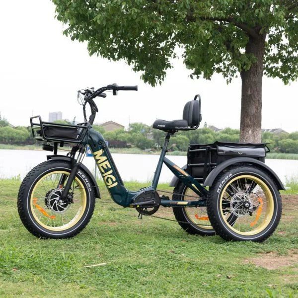 DWMEIGI Silverado 20 inch 48V/14Ah 750W Folding Electric Tricycle With Wide Tires, 150 kg - MG2301