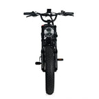 Electric Mountain Bike For Adults With 20 x 4.0 Fat Tires, 1000W Motor, 48V 20Ah Removable Battery, 45MPH Speed, 7-Speed