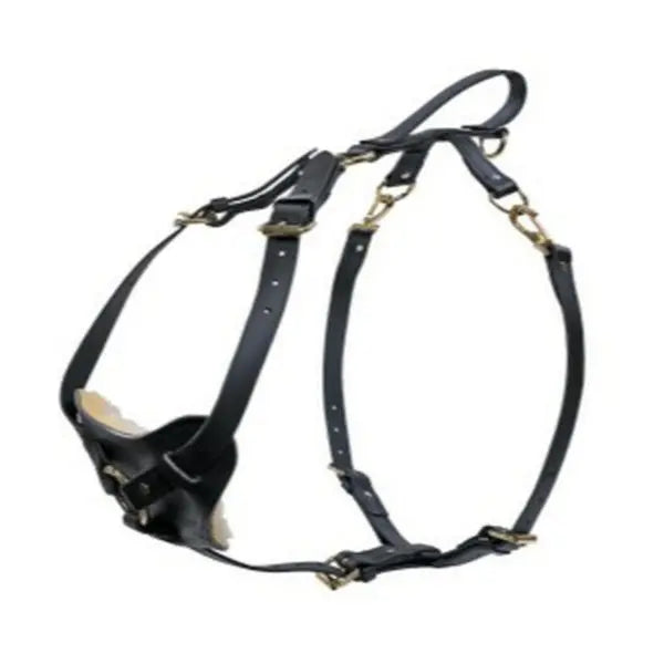 Ray Allen Biothane Multifunction Dog Harness, Waterproof, Brass Fittings, Black - Large Breeds