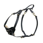 Ray Allen Biothane Multifunction Dog Harness, Waterproof, Brass Fittings, Black - Large Breeds