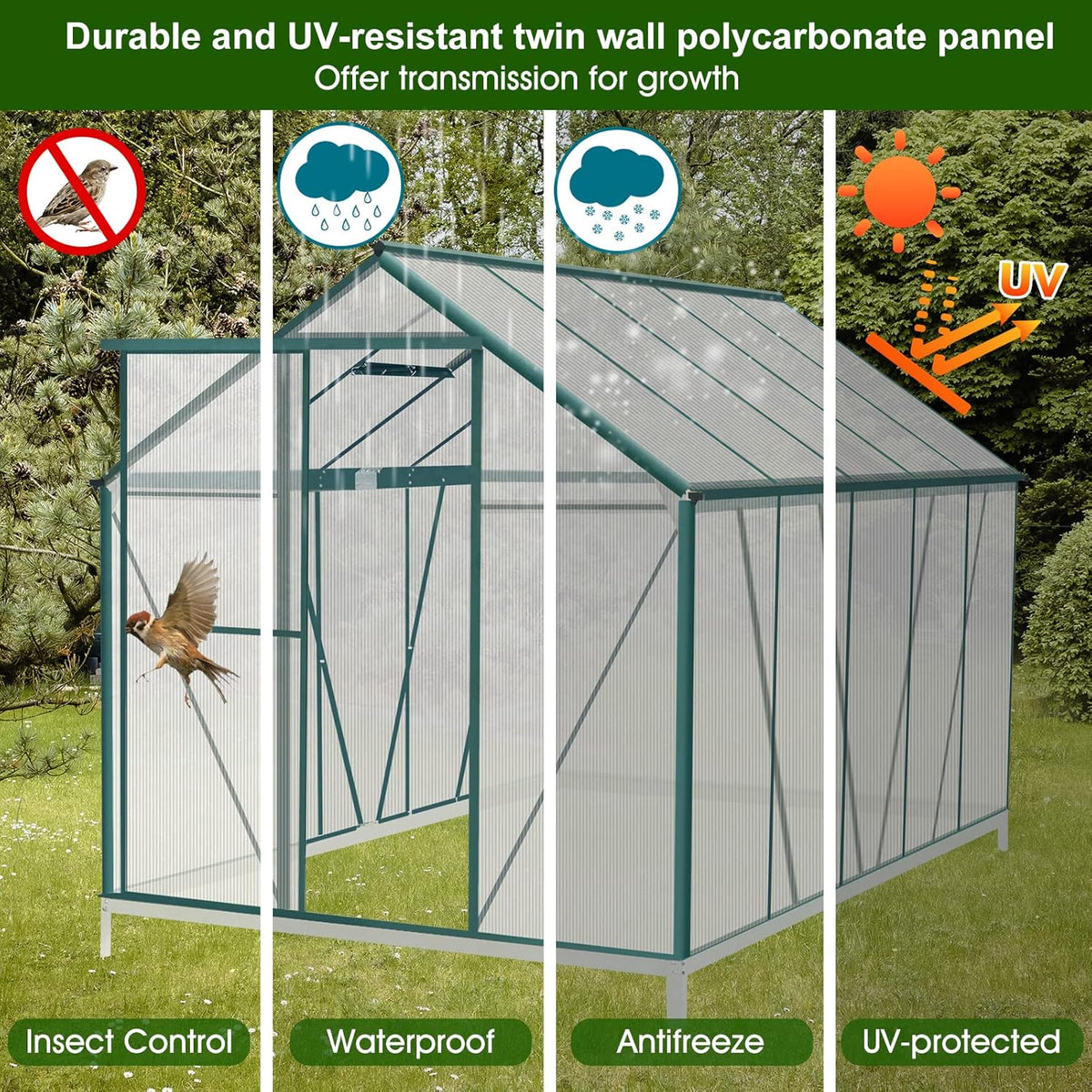 6'x10' Walk-In Greenhouse With 4mm 800G Polycarbonate Panels And Aluminum Frame - Green