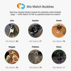 Embark Dog DNA Test Breed Identification Kit
