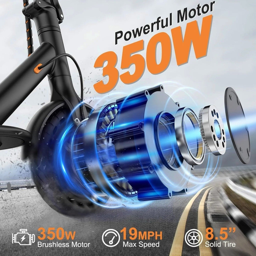 Electric Scooter 10 Inch Solid Tires, 500W, Dual Suspension