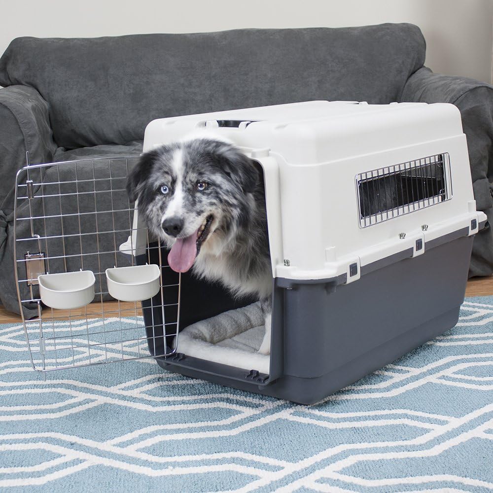 SportPet Designs Plastic Airline Approved Rolling Dog Kennel With Wire Door, XXX-Large, Gray, 48in L x 32in W x 36in H