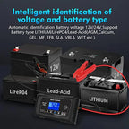 HTRC Smart Battery Charger For Lithium, LiFePO4 And Lead-Acid Batteries, 12V/25A, 24V/13A - P25