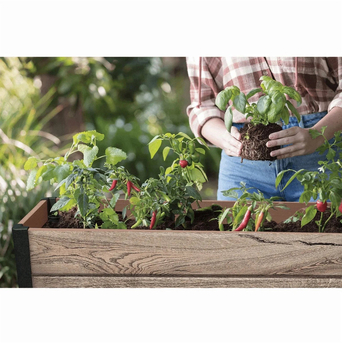Keter Signature Collection Resin Elevated Garden Bed, 29 Gal.