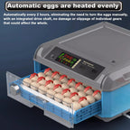 500 Egg Digital Automatic Poultry Incubator With LED Screen
