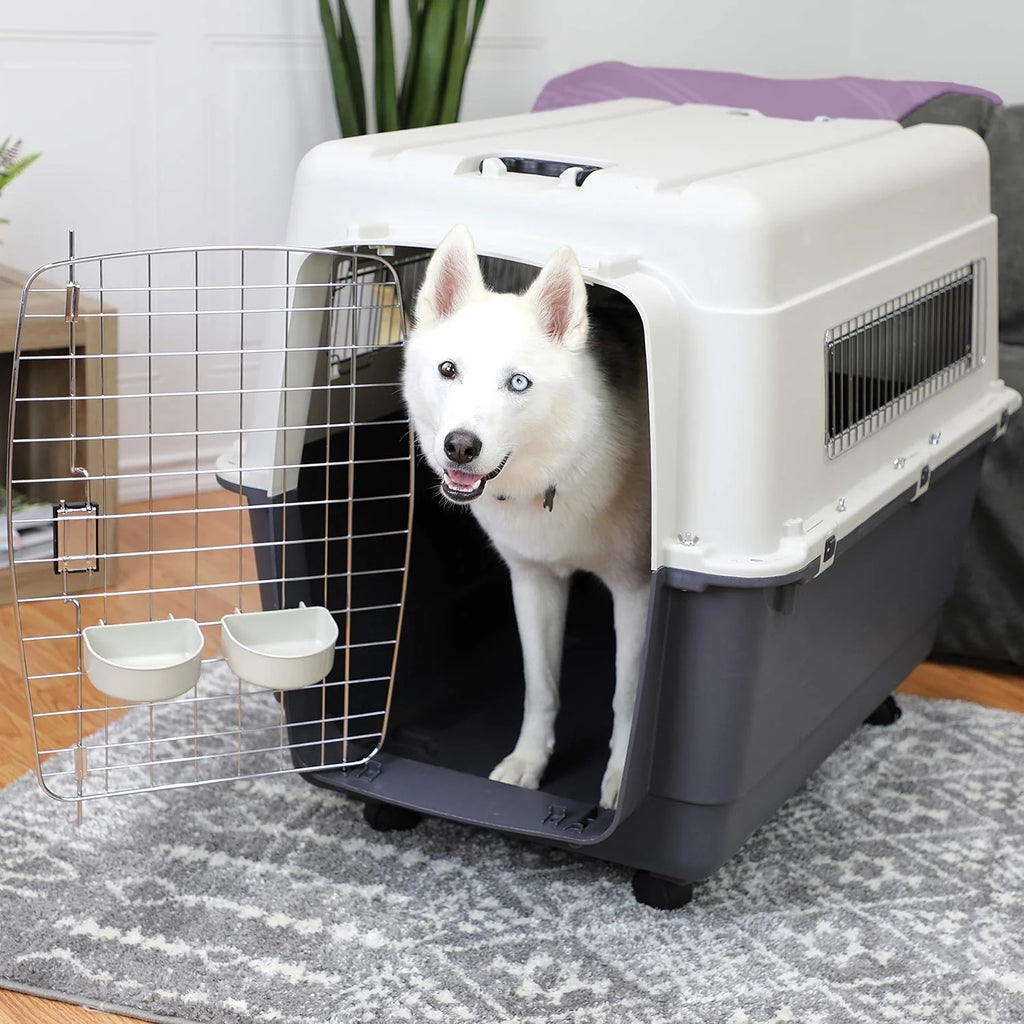 SportPet Designs Plastic Airline Approved Rolling Dog Kennel With Wire Door, XXX-Large, Gray, 48in L x 32in W x 36in H
