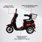 Arvo Senior Mobility Scooter 60v20AH Red - P300