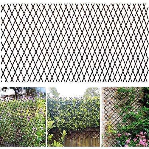Glant Willow Expandable Garden Trellis Fence - 22X120 inch