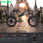 TST Foldable Electric Bike, 20in 4.0 Fat Tire, 48V 13Ah, 750W, Black - Buddy Pro
