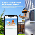 Harymor Bird Feeder Camera With AI Bird Identification, 2K Live View, Solar Panels, Orange