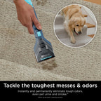 Shark StainStriker Portable Carpet And Upholstery Cleaner With 2 Tools, 6oz And 12oz Formulas - PX200 Navy/White