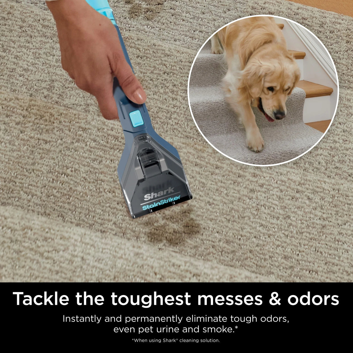 Shark StainStriker Portable Carpet And Upholstery Cleaner With 2 Tools, 6oz And 12oz Formulas - PX200 Navy/White