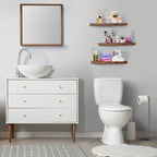 24 Inch Extra Long Floating Wall Shelf Set, 2 Count