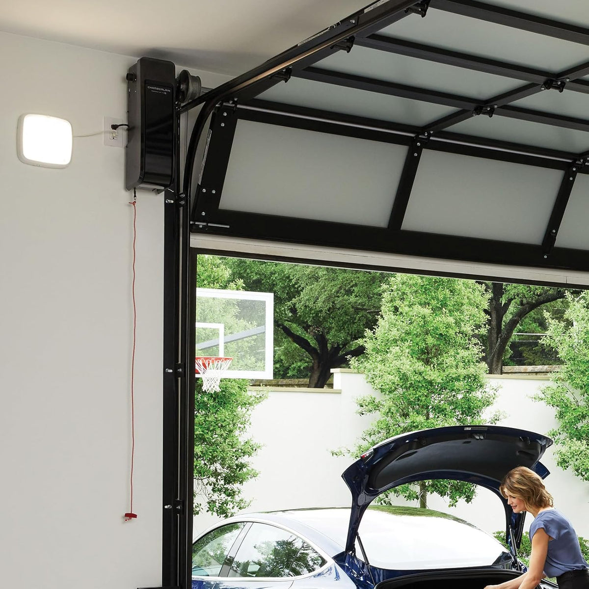 Wall-Mounted Garage Door Opener With Battery Backup And LED Lighting, Black, 36 Pounds - RJO101