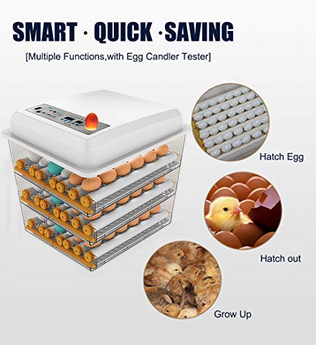 Egg Incubator With Automatic Egg Turning And Humidity Control - 176 Eggs