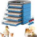 500 Egg Digital Automatic Poultry Incubator With LED Screen