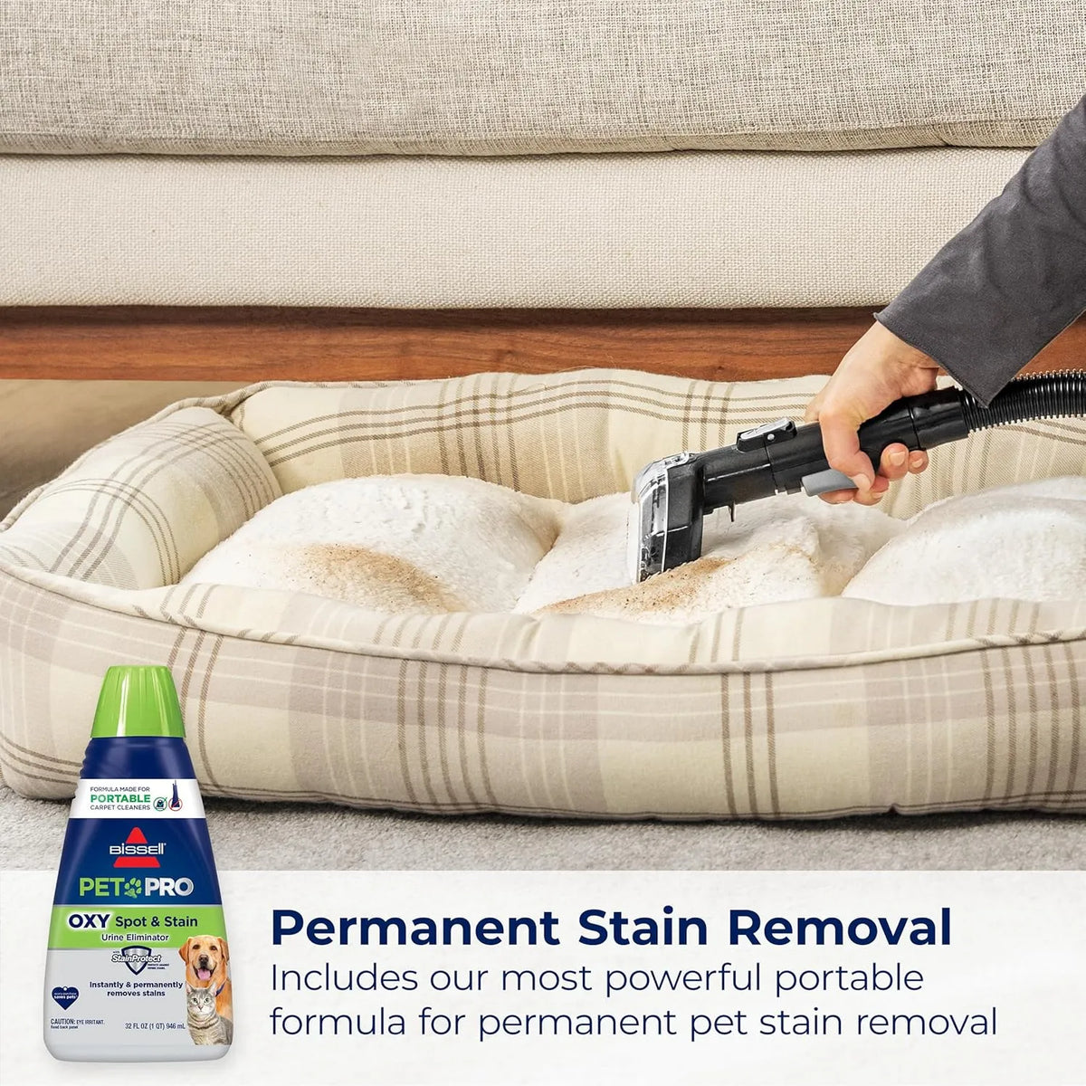 Bissell Little Green HydroSteam Portable Carpet And Upholstery Cleaner, Black And Copper Harbor - 3618