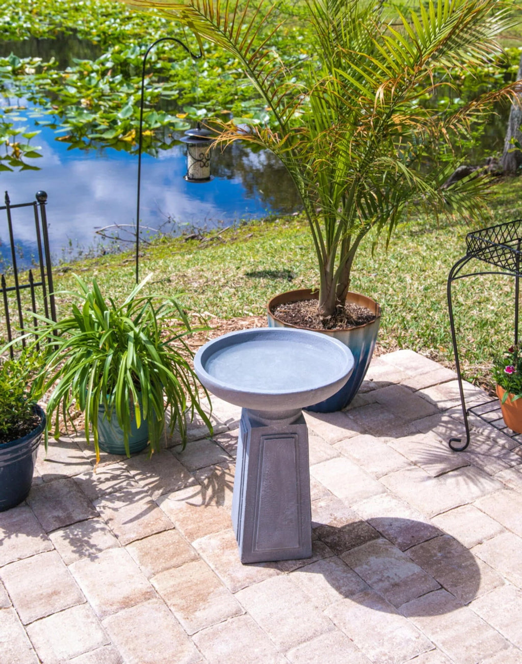 Pedestal Outdoor Concrete Bird Bath, Gray Finish, 16 Inch Diameter
