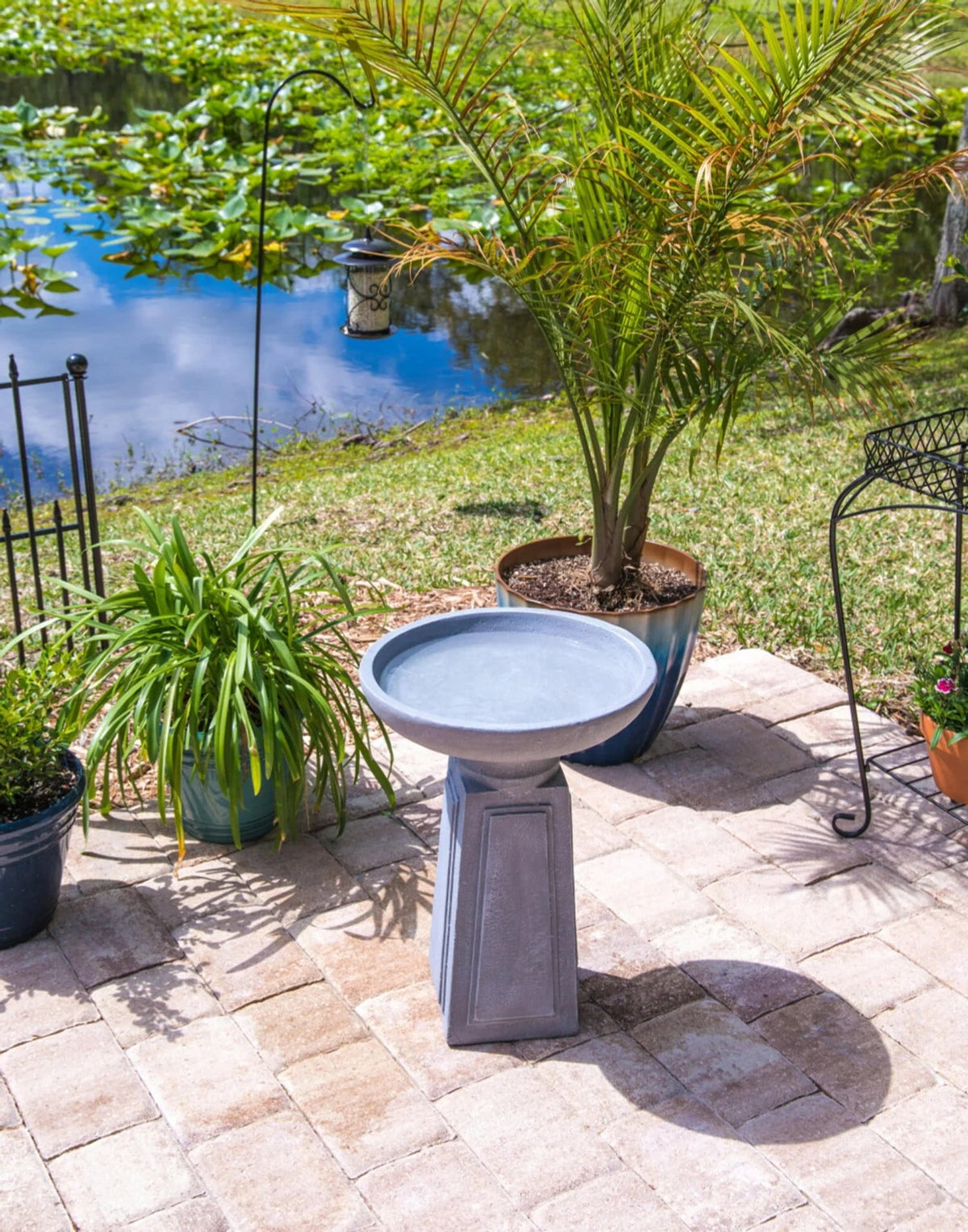 Pedestal Outdoor Concrete Bird Bath, Gray Finish, 16 Inch Diameter
