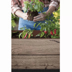 Keter Signature Collection Resin Elevated Garden Bed, 29 Gal.