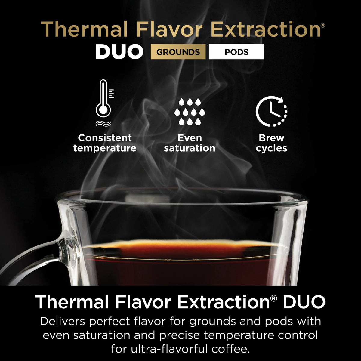 Ninja DualBrew Hot & Iced Coffee Maker, Single-Serve And 12-Cup Drip - CFP101