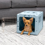 SportPet Designs Plastic Airline Approved Rolling Dog Kennel With Wire Door, XXX-Large, Gray, 48in L x 32in W x 36in H