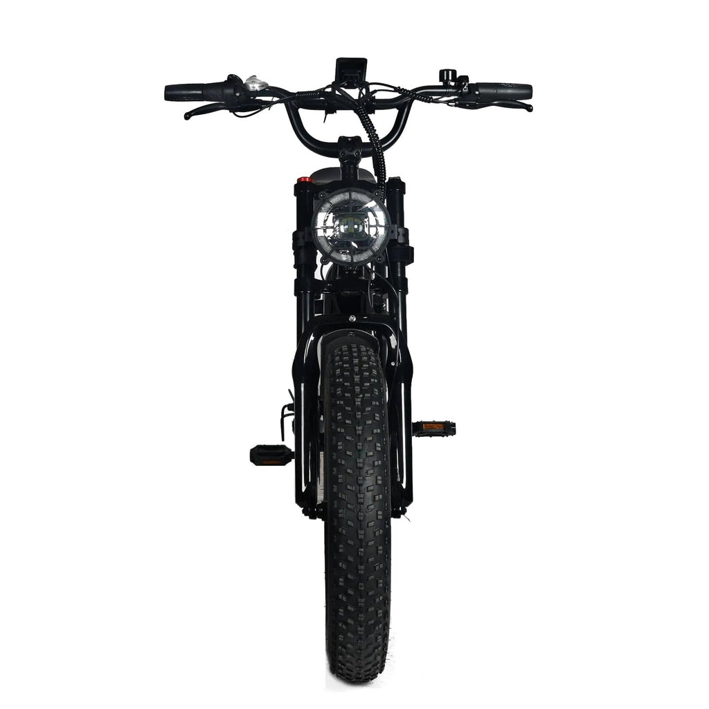 Electric Mountain Bike For Adults, 20 x 4.0 Fat Tires, 1000W Motor, 48V 20Ah Battery, Black - G-M1Sp