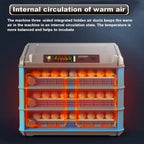 500 Egg Digital Automatic Poultry Incubator With LED Screen