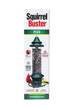 Brome Squirrel Buster Plus Tube Bird Feeder, 23 in, 3 Qt, 2 Pack - Cardinal Perch Ring