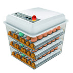 Egg Incubator With Automatic Egg Turning And Humidity Control - 176 Eggs