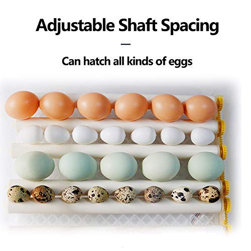 Egg Incubator With Automatic Egg Turning And Humidity Control - 176 Eggs