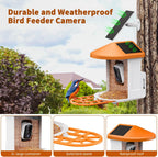 Harymor Bird Feeder Camera With AI Bird Identification, 2K Live View, Solar Panels, Orange