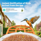 Harymor Bird Feeder Camera With AI Bird Identification, 2K Live View, Solar Panels, Orange